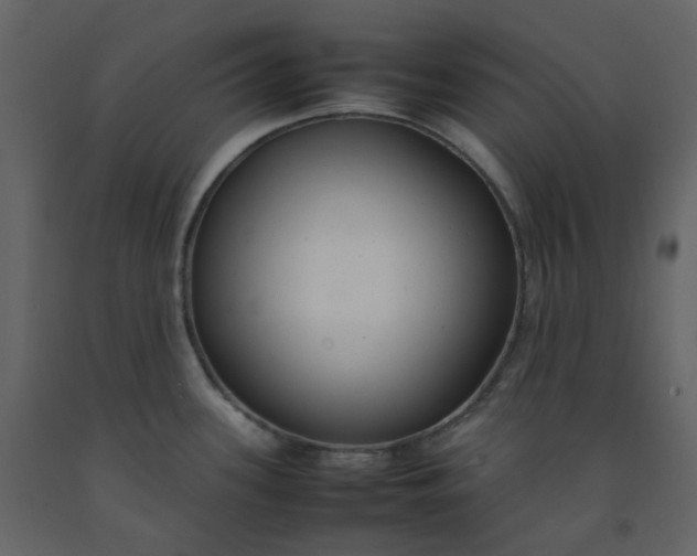 X0000092251339200710051251