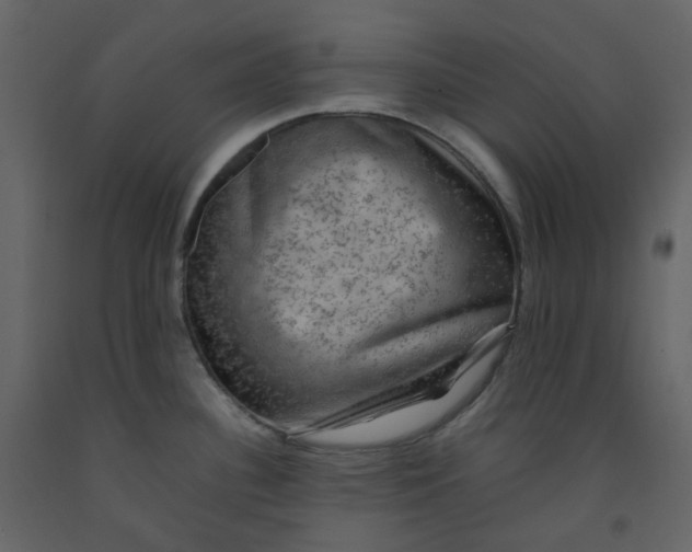 X0000092251340200710051251