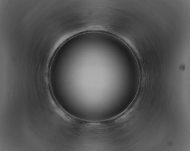 X0000092251342200710051251