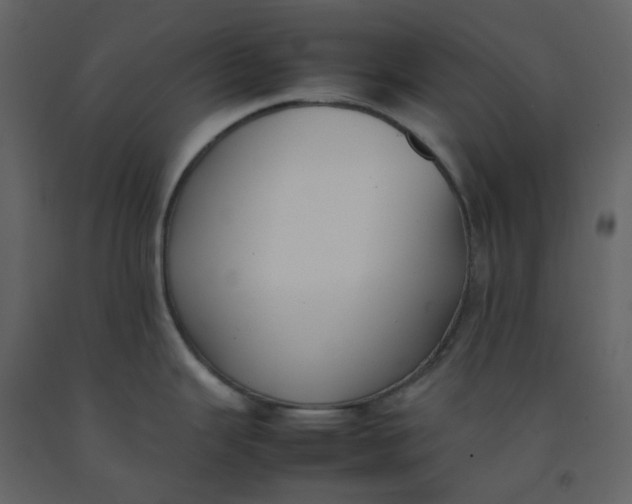 X0000092251343200710051251