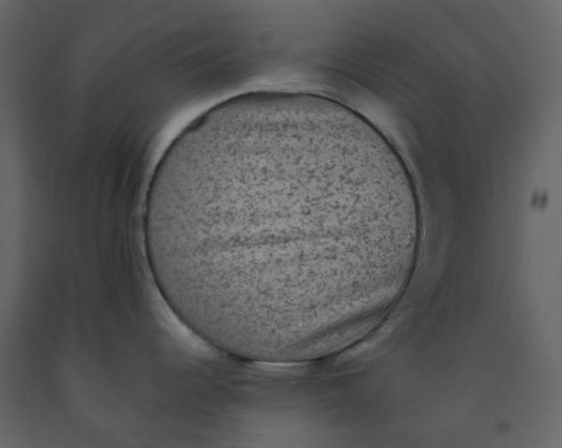 X0000092251344200710051251