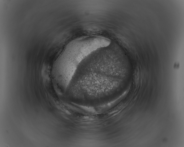 X0000092251346200710051251