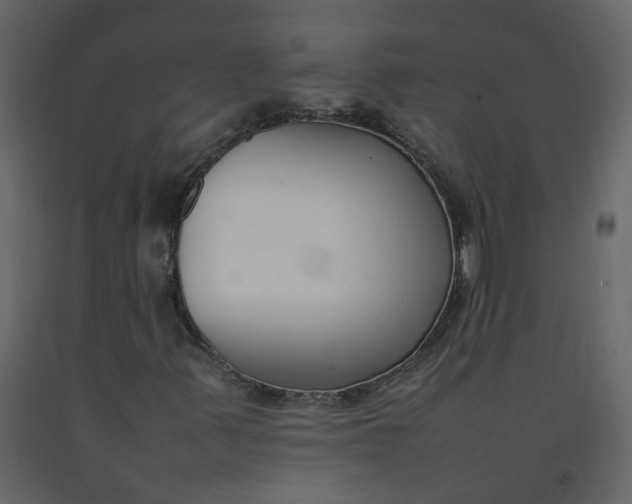 X0000092251347200710051251