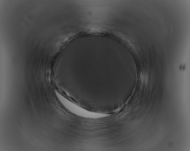 X0000092251348200710051250