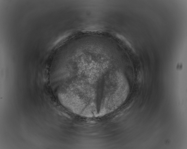 X0000092251350200710051250