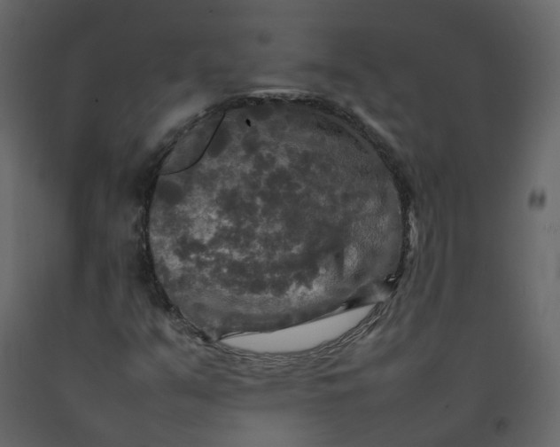 X0000092251351200710051250