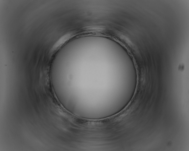 X0000092251354200710051250