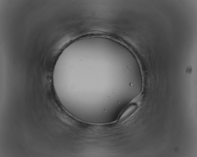 X0000092251355200710051250