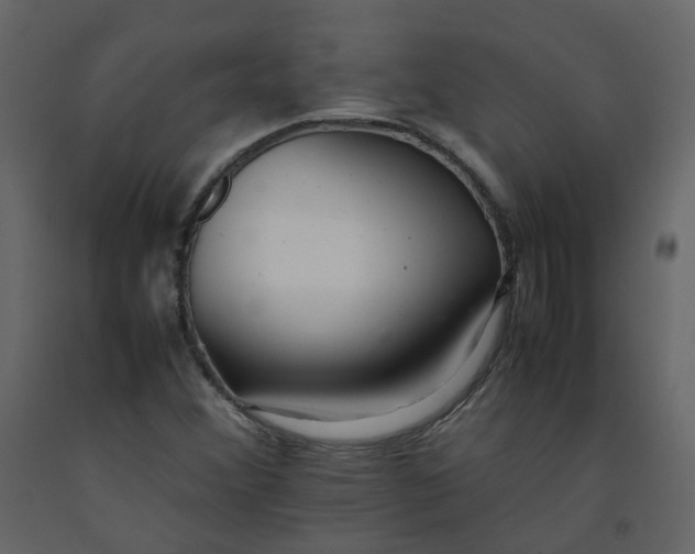 X0000092251356200710051250