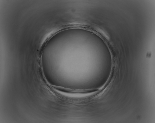 X0000092251357200710051250