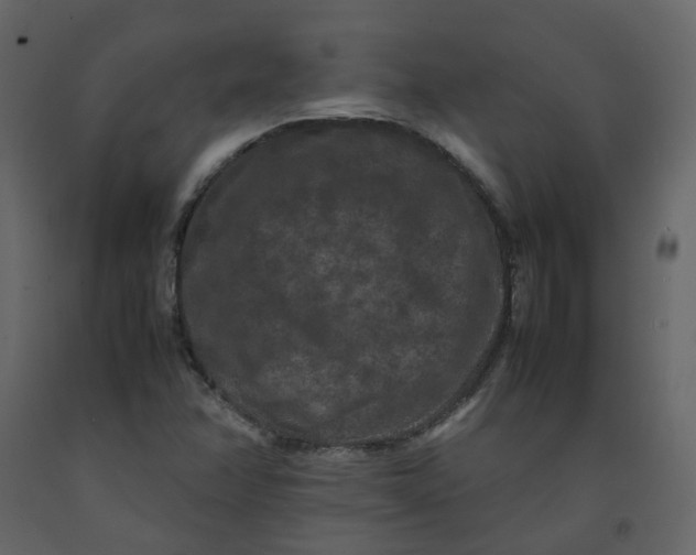 X0000092251358200710051250