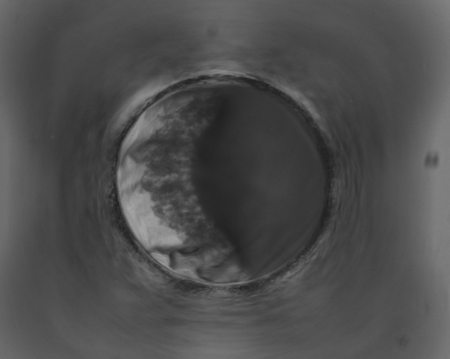 X0000092251359200710051250