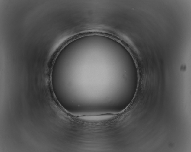 X0000092251360200710051250