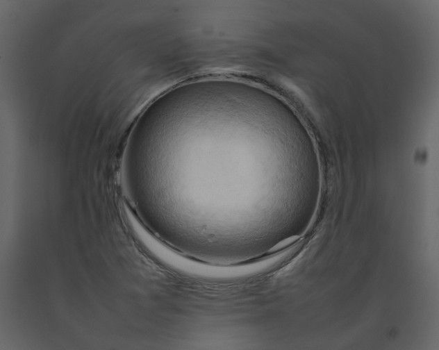 X0000092251361200710051250