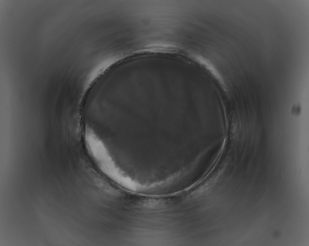 X0000092251362200710051250