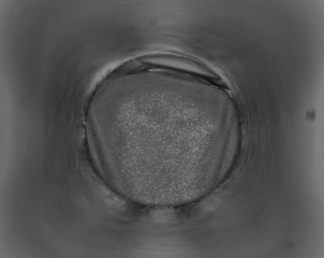 X0000092251363200710051250