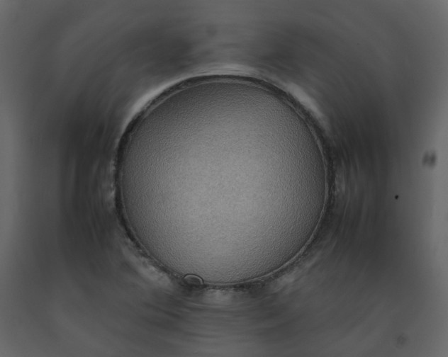 X0000092251364200710051250