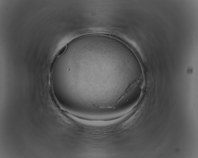 X0000092251365200710051250