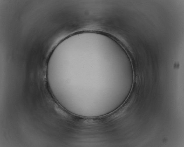 X0000092251366200710051250