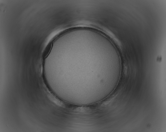 X0000092251368200710051250