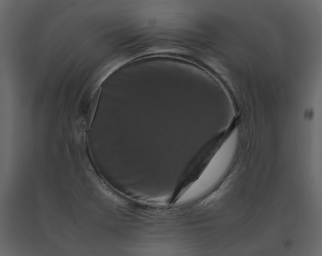 X0000092251369200710051250