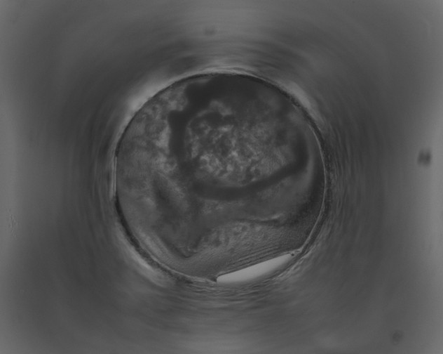 X0000092251371200710051250