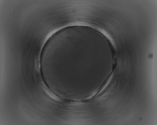 X0000092251372200710051250