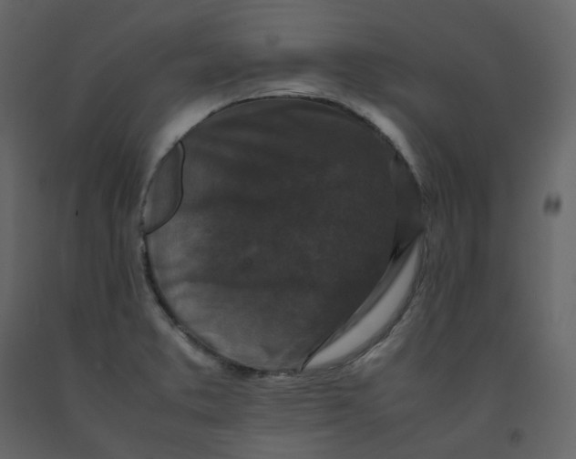 X0000092251373200710051250