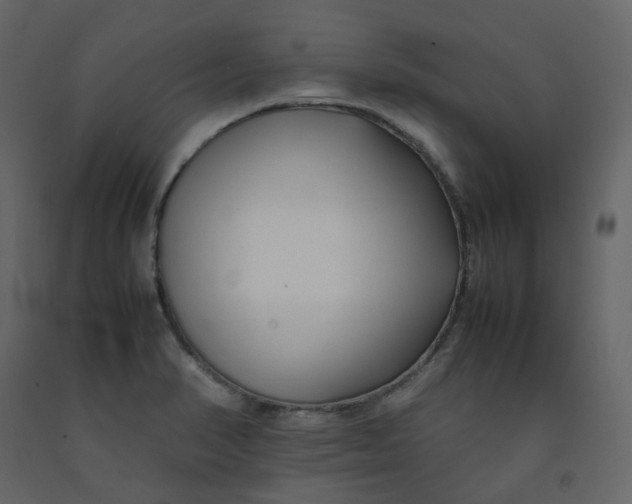 X0000092251374200710051250