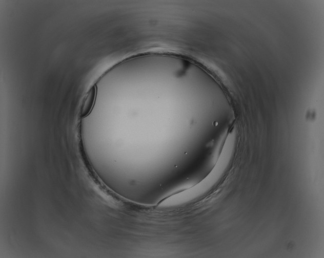 X0000092251375200710051250