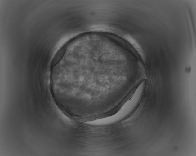 X0000092251376200710051250