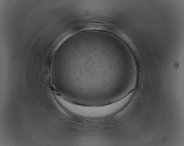 X0000092251377200710051250