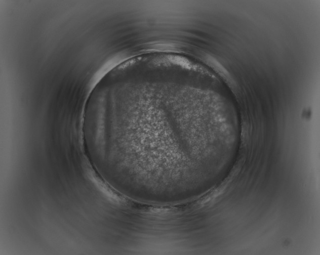 X0000092251378200710051250