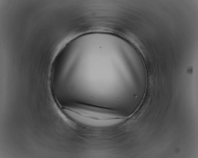 X0000092251379200710051250