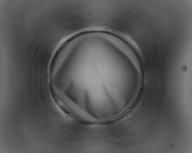 X0000092251380200710051250