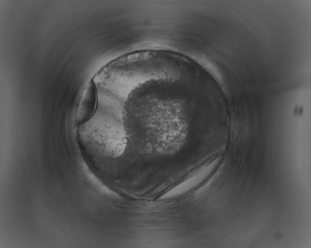 X0000092251382200710051250