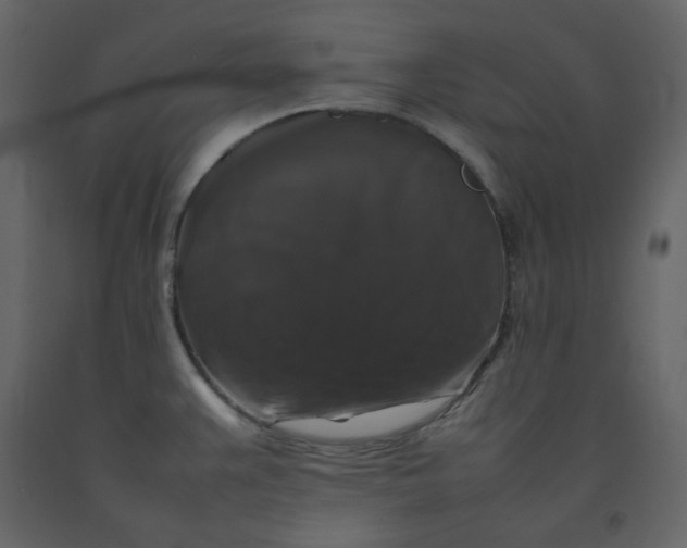 X0000092251383200710051250