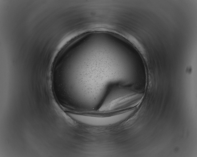 X0000092251384200710051250