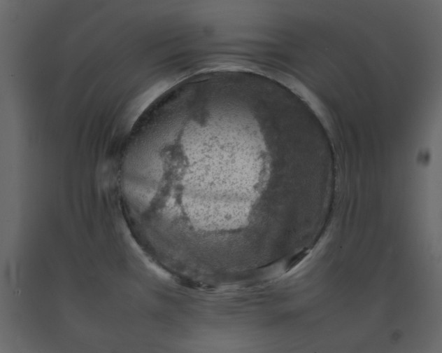 X0000092251385200710051250