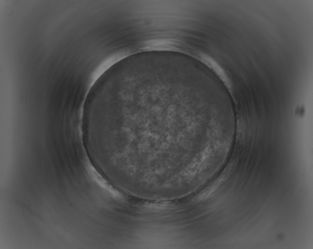 X0000092251386200710051250