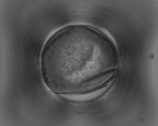 X0000092251388200710051250