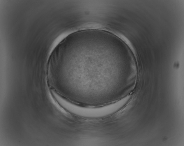 X0000092251389200710051250