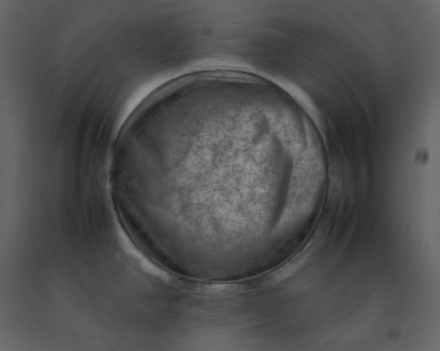 X0000092251390200710051250