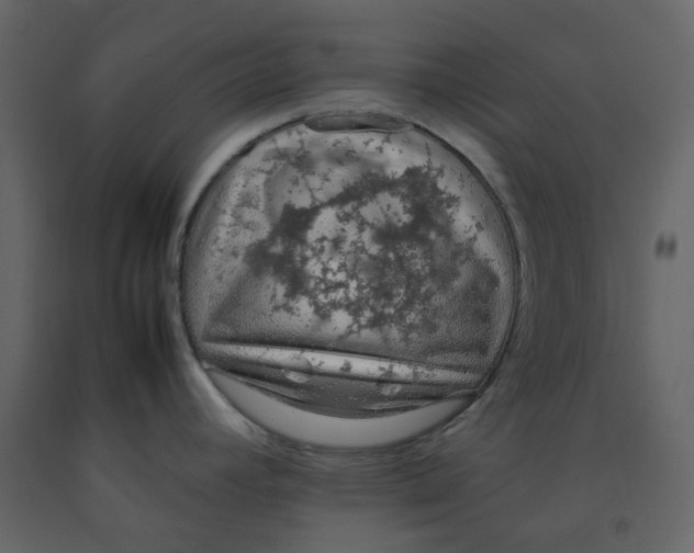 X0000092251392200710051250