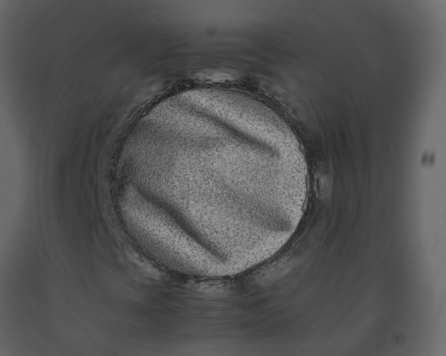 X0000092251393200710051249