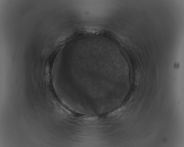 X0000092251394200710051249