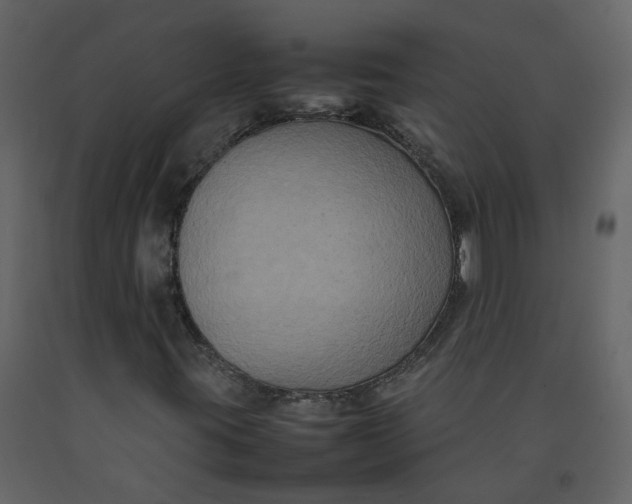 X0000092251395200710051249