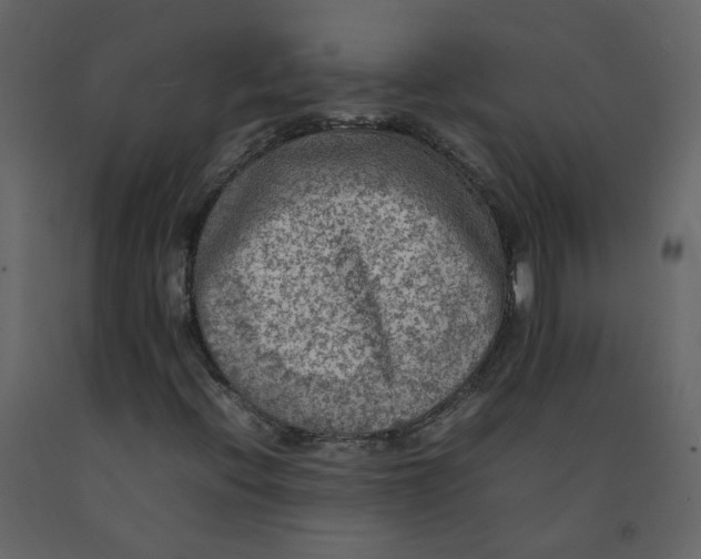 X0000092251396200710051249