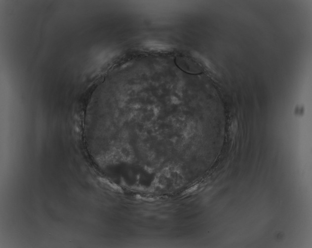 X0000092251397200710051249