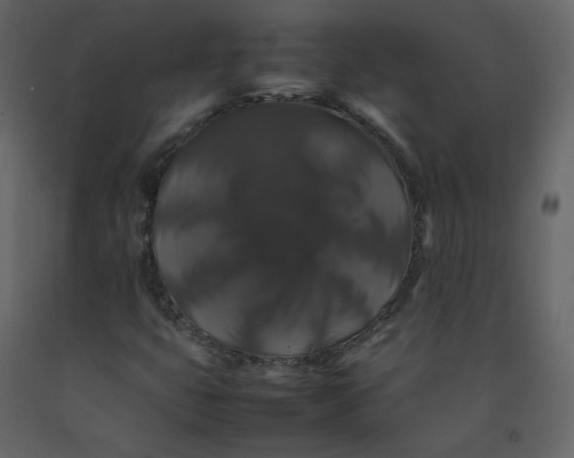 X0000092251399200710051249